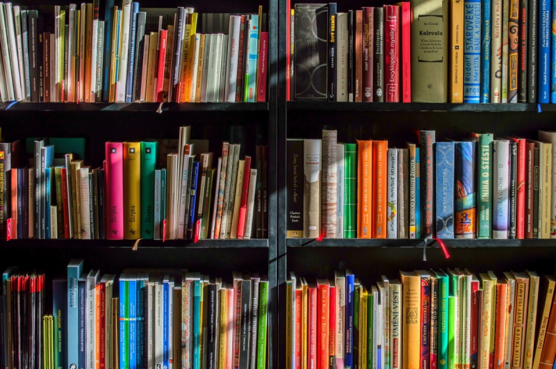 vitrine-BONSON-min_books_bookstore_book_reading_shop_writer_sale_books_read-822866