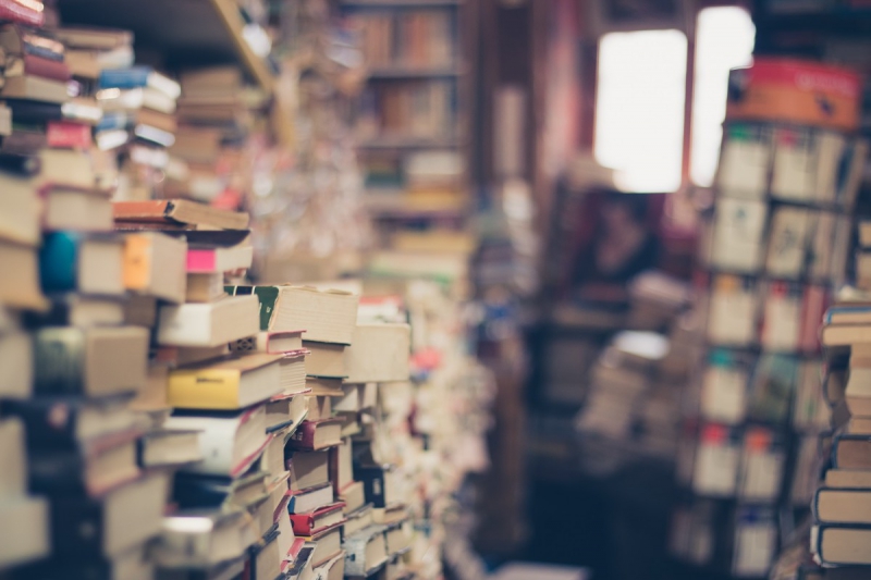 vitrine-BONSON-min_books_stack_book_store_stack_of_books_2nd_hand_retro_hipster_shop-829090